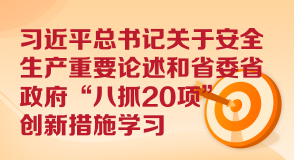 習(xí)近平總書(shū)記關(guān)于安全生產(chǎn)重要論述和省委省政府“八抓20項(xiàng)”創(chuàng)新措施學(xué)習(xí)