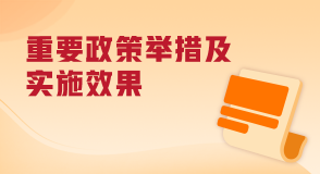 重要政策舉措及實(shí)施效果